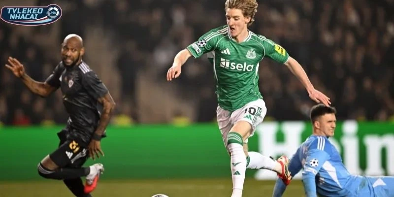 Đôi nét về phong độ cặp đấu Newcastle United vs Qarabag