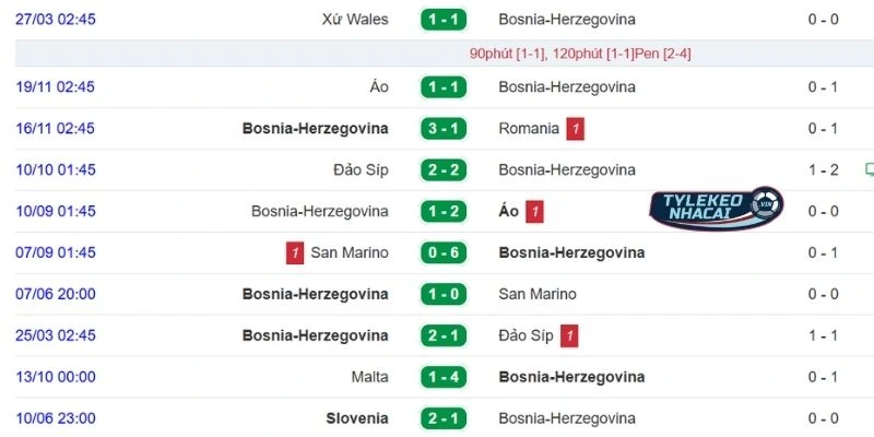 Dấu ấn thi đấu của Bosnia-Herzegovina