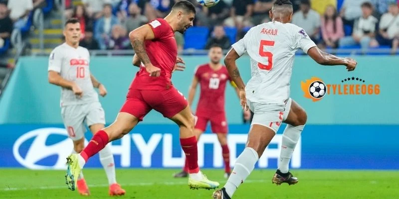 Cập nhật sơ đồ ra sân trận New Zealand vs Bỉ