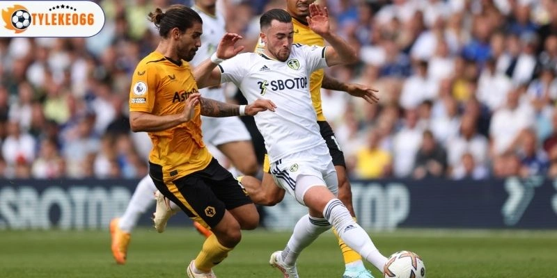 Tình hình Leeds United vs Wolves